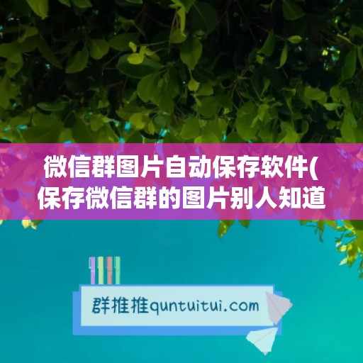 微信群图片自动保存软件(保存微信群的图片别人知道吗)