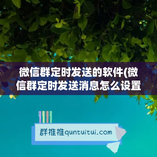 微信群定时发送的软件(微信群定时发送消息怎么设置的)