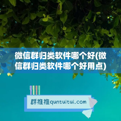 微信群归类软件哪个好(微信群归类软件哪个好用点)