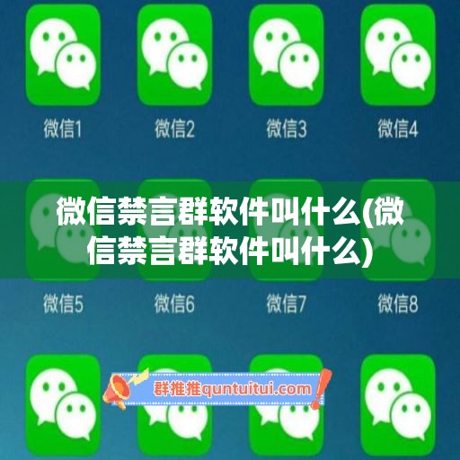 微信禁言群软件叫什么(微信禁言群软件叫什么)