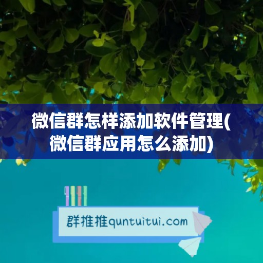 微信群怎样添加软件管理(微信群应用怎么添加)