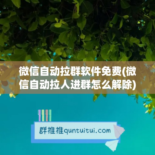 微信自动拉群软件免费(微信自动拉人进群怎么解除)