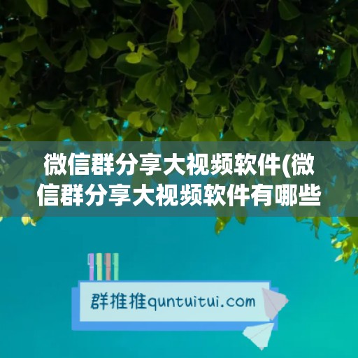 微信群分享大视频软件(微信群分享大视频软件有哪些)