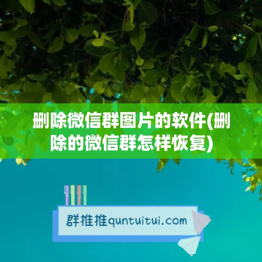 删除微信群图片的软件(删除的微信群怎样恢复)