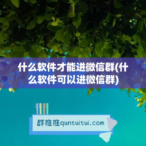 什么软件才能进微信群(什么软件可以进微信群)