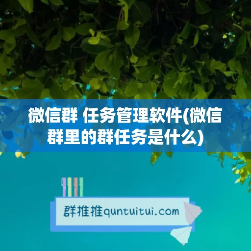 微信群 任务管理软件(微信群里的群任务是什么)