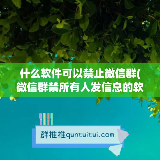 什么软件可以禁止微信群(微信群禁所有人发信息的软件)