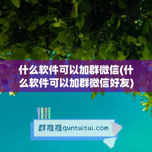 什么软件可以加群微信(什么软件可以加群微信好友)