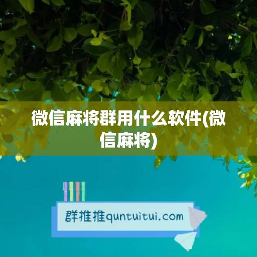 微信麻将群用什么软件(微信麻将)