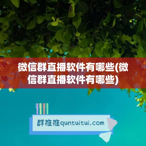 微信群直播软件有哪些(微信群直播软件有哪些)