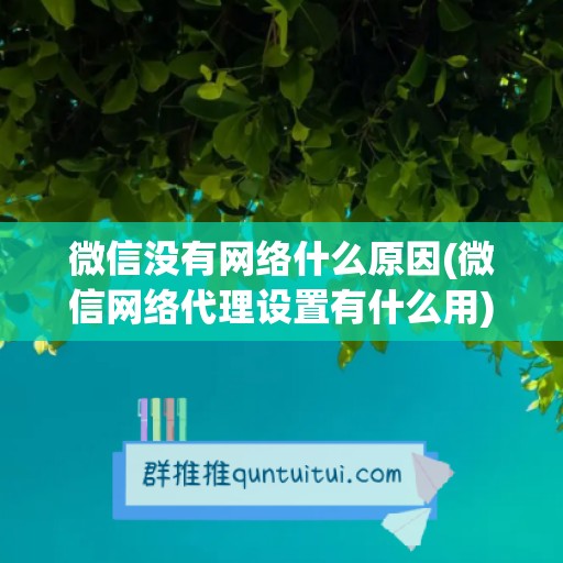 微信没有网络什么原因(微信网络代理设置有什么用)