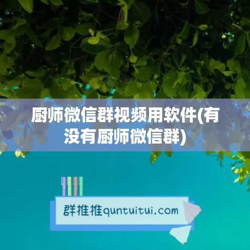 厨师微信群视频用软件(有没有厨师微信群)