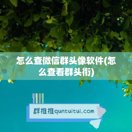 怎么查微信群头像软件(怎么查看群头衔)