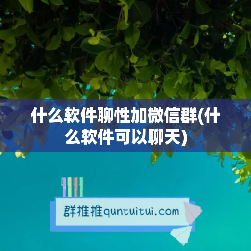 什么软件聊性加微信群(什么软件可以聊天)