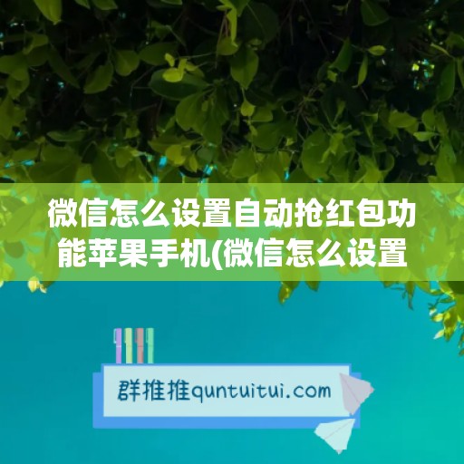 微信怎么设置自动抢红包功能苹果手机(微信怎么设置密码才能进入苹果手机)