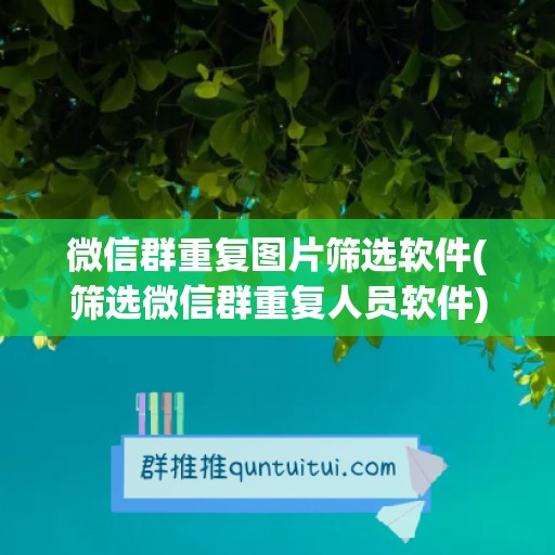 微信群重复图片筛选软件(筛选微信群重复人员软件)