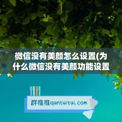 微信没有美颜怎么设置(为什么微信没有美颜功能设置)