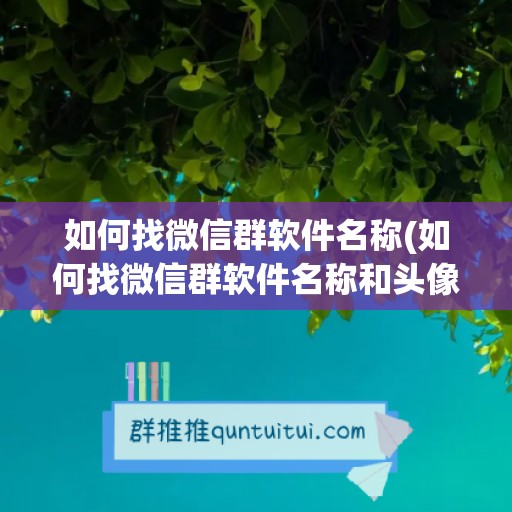 如何找微信群软件名称(如何找微信群软件名称和头像)