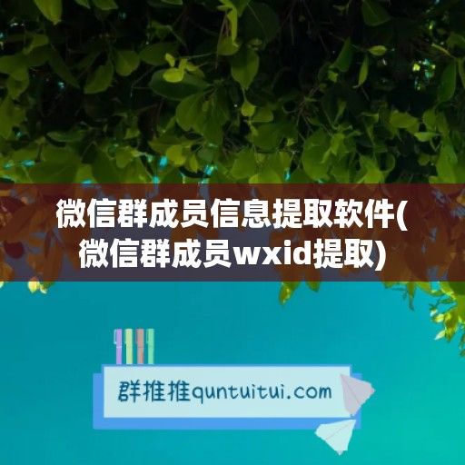 微信群成员信息提取软件(微信群成员wxid提取)