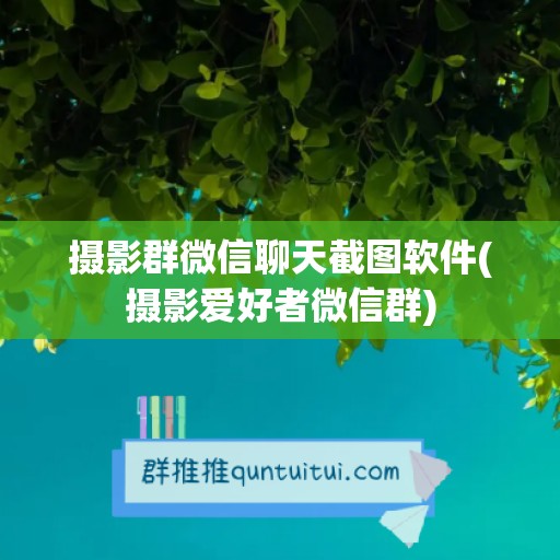 摄影群微信聊天截图软件(摄影爱好者微信群)