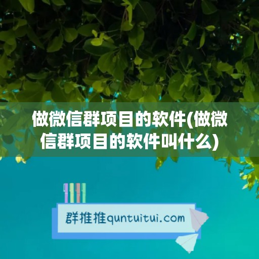 做微信群项目的软件(做微信群项目的软件叫什么)