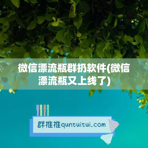 微信漂流瓶群扔软件(微信漂流瓶又上线了)