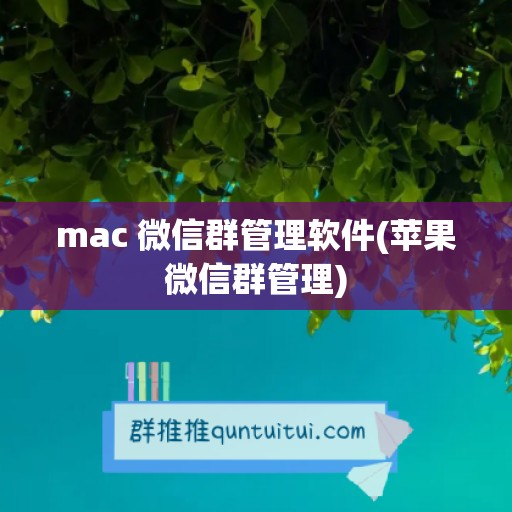 mac 微信群管理软件(苹果微信群管理)