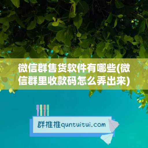 微信群售货软件有哪些(微信群里收款码怎么弄出来)