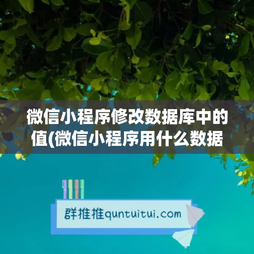 微信小程序修改数据库中的值(微信小程序用什么数据库)