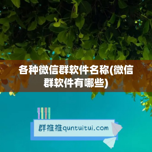 各种微信群软件名称(微信群软件有哪些)