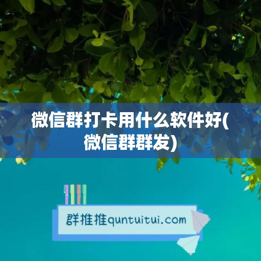 微信群打卡用什么软件好(微信群群发)