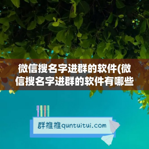 微信搜名字进群的软件(微信搜名字进群的软件有哪些)