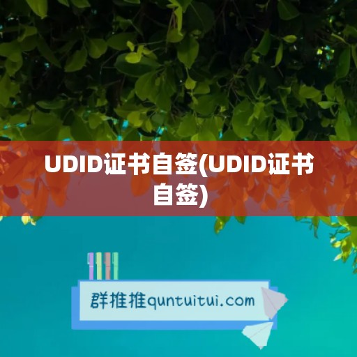 UDID证书自签(UDID证书自签)