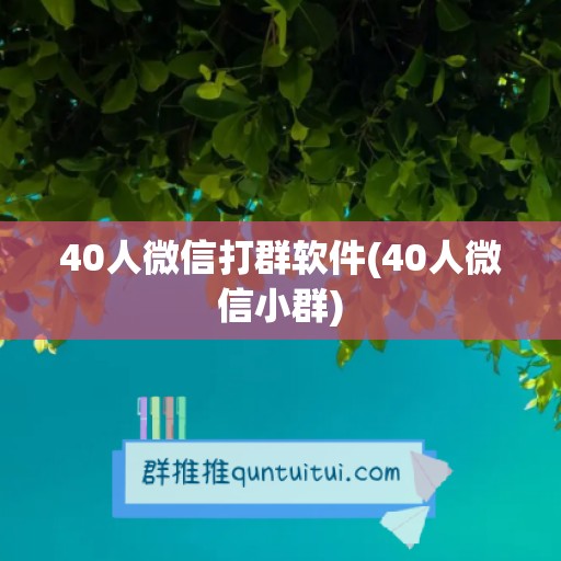 40人微信打群软件(40人微信小群)