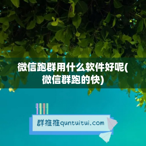 微信跑群用什么软件好呢(微信群跑的快)