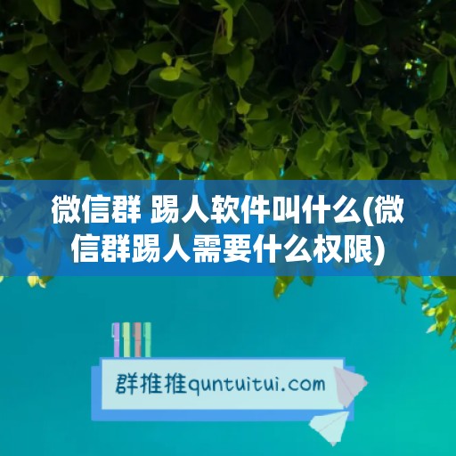 微信群 踢人软件叫什么(微信群踢人需要什么权限)