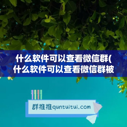 什么软件可以查看微信群(什么软件可以查看微信群被谁举报了)