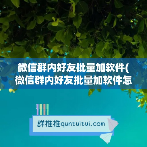 微信群内好友批量加软件(微信群内好友批量加软件怎么加)