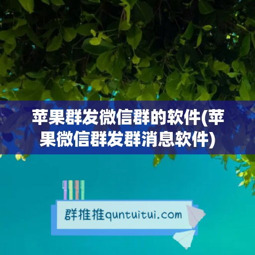 苹果群发微信群的软件(苹果微信群发群消息软件)