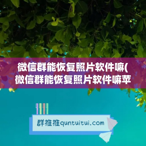 微信群能恢复照片软件嘛(微信群能恢复照片软件嘛苹果)