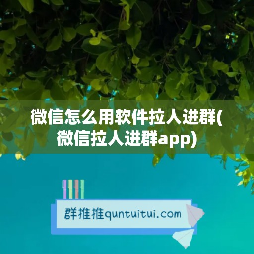 微信怎么用软件拉人进群(微信拉人进群app)