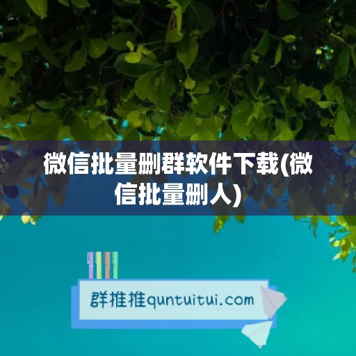 微信批量删群软件下载(微信批量删人)