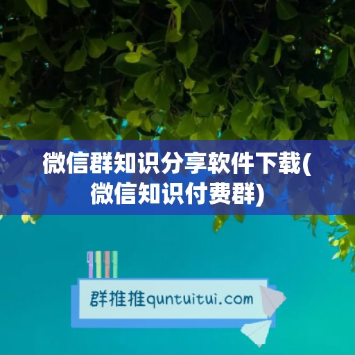 微信群知识分享软件下载(微信知识付费群)