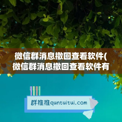 微信群消息撤回查看软件(微信群消息撤回查看软件有记录吗)