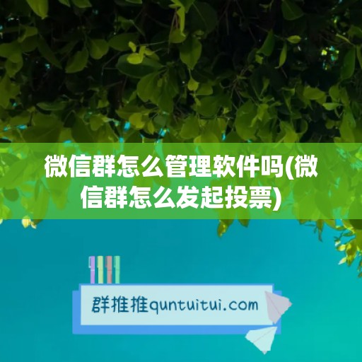 微信群怎么管理软件吗(微信群怎么发起投票)