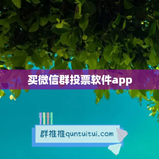 买微信群投票软件app