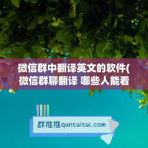 微信群中翻译英文的软件(微信群聊翻译 哪些人能看见)