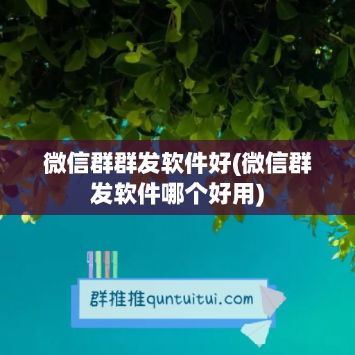 微信群群发软件好(微信群发软件哪个好用)