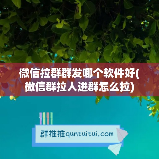 微信拉群群发哪个软件好(微信群拉人进群怎么拉)