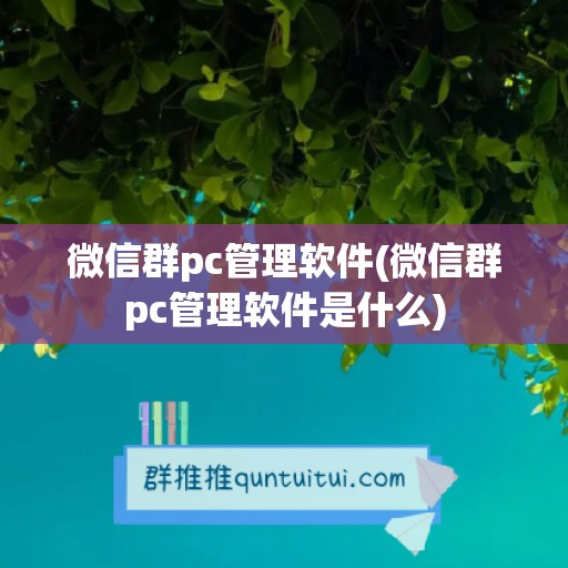 微信群pc管理软件(微信群pc管理软件是什么)